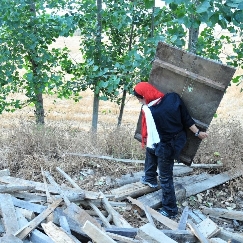 Hedieh Tehrani carrying an old wooden door on her back over a pile of timber, poplar trees behind