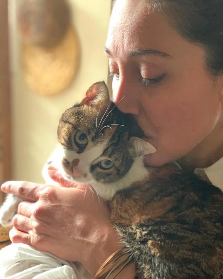 Hedieh Tehrani kissing a tabby cat